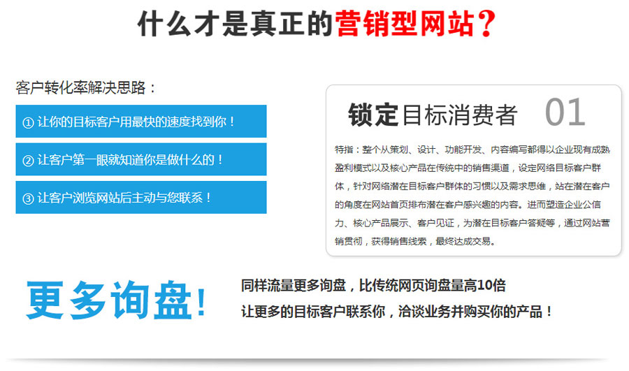 外贸独立站推广营销型网站建设  第1张
